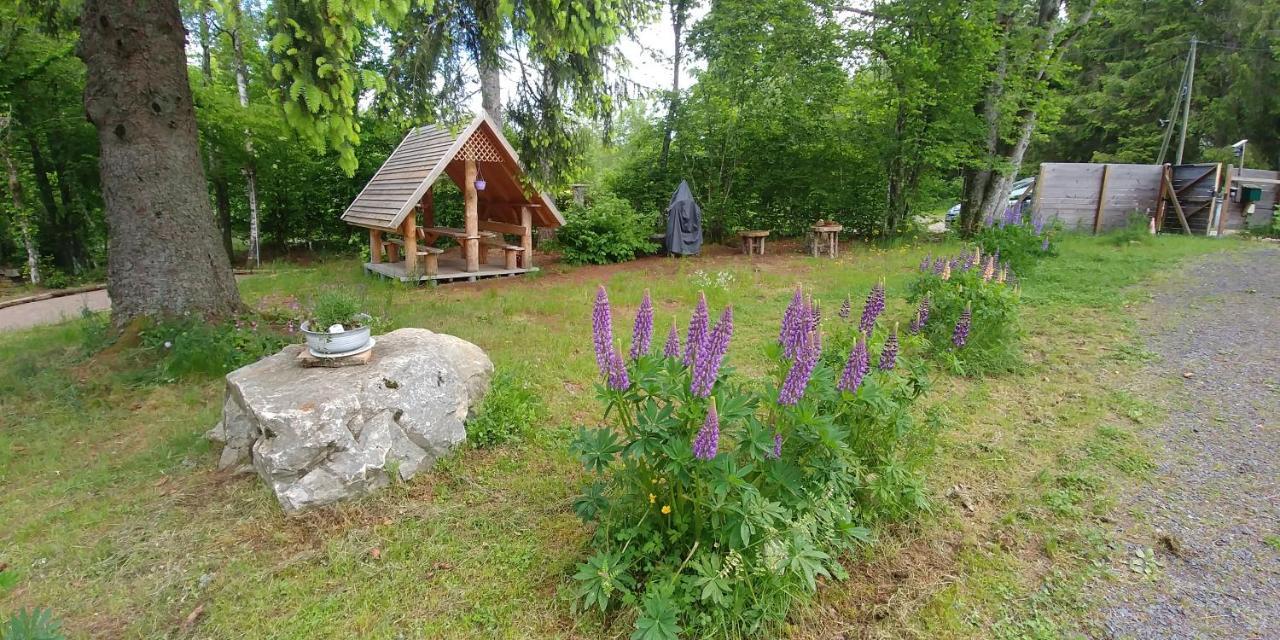 Chalet De Martimprey - Chalets - Gites - Chambres D' Hotes Et Spas Gérardmer Dış mekan fotoğraf