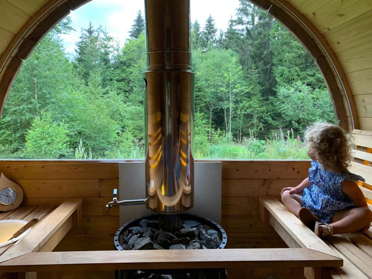 Chalet De Martimprey - Chalets - Gites - Chambres D' Hotes Et Spas Gérardmer Dış mekan fotoğraf